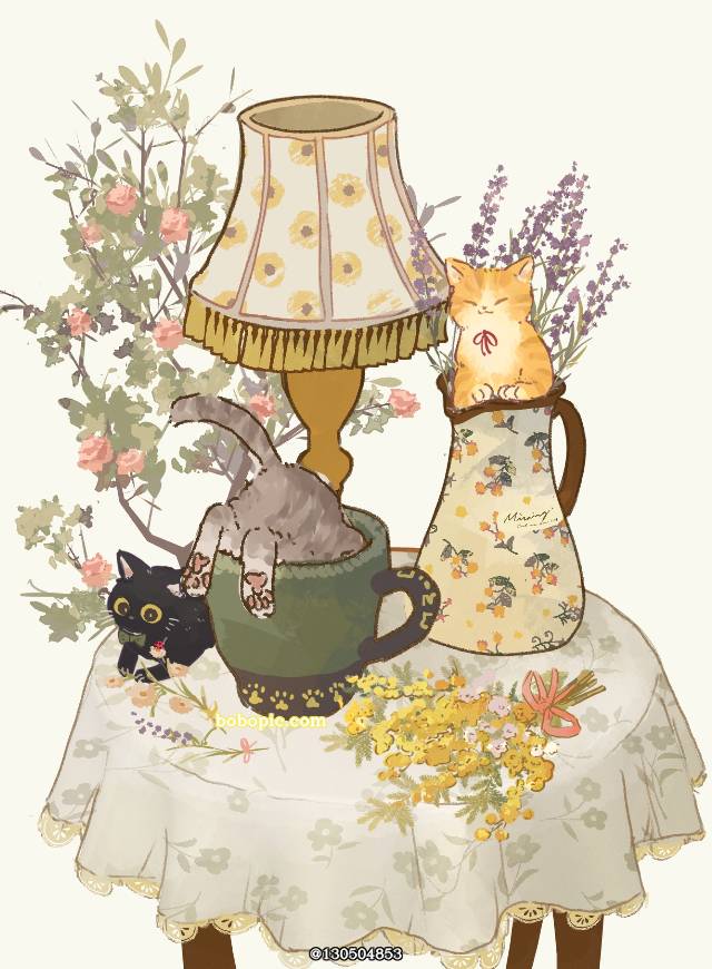 cat, 猫, 原创, 原创, spring