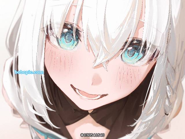 白上吹雪, Hololive, 虚拟主播, Virtual YouTuber 1000+ bookmarks