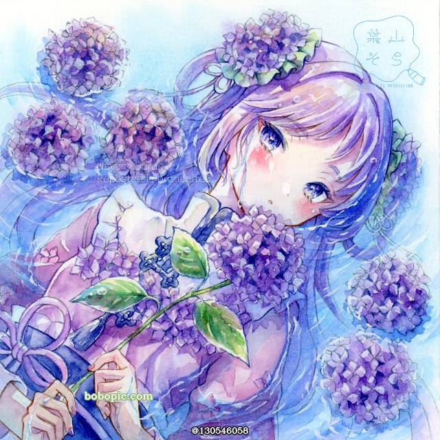 紫阳花,花和女孩,花和女孩子,透明水彩图片