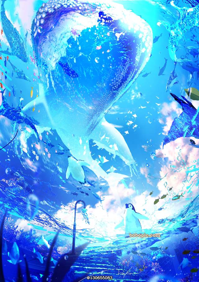 原创, 风景, refreshing, 蓝, 夏天, 企鹅, whale shark, 原创