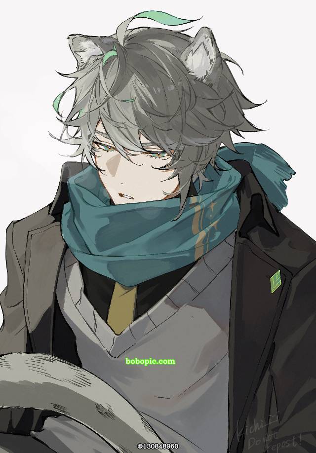 艾尔海森, Genshin Impact