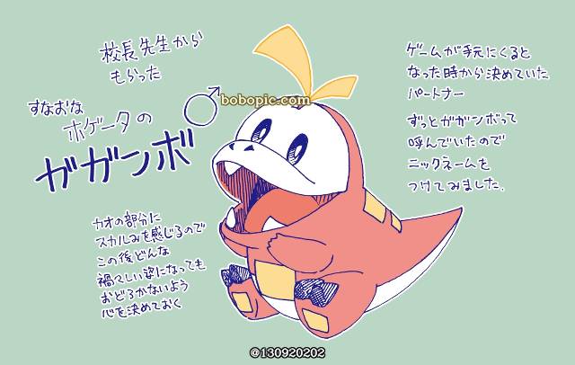 精灵宝可梦