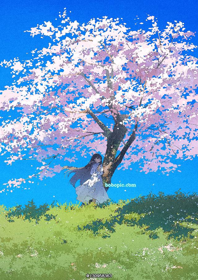 风景, 原创, 女孩子, 白色连衣裙, 樱, sky