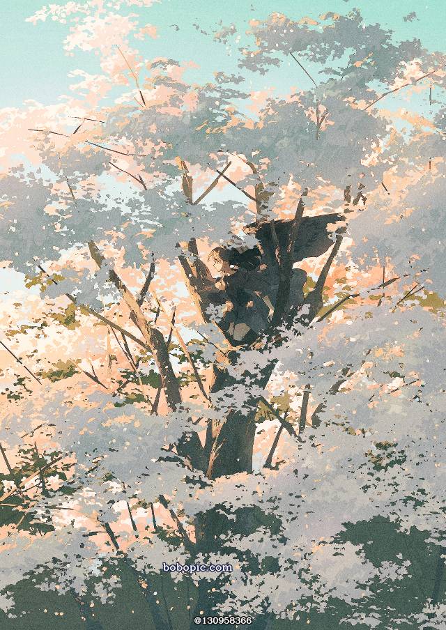 創作,少女,樱图片