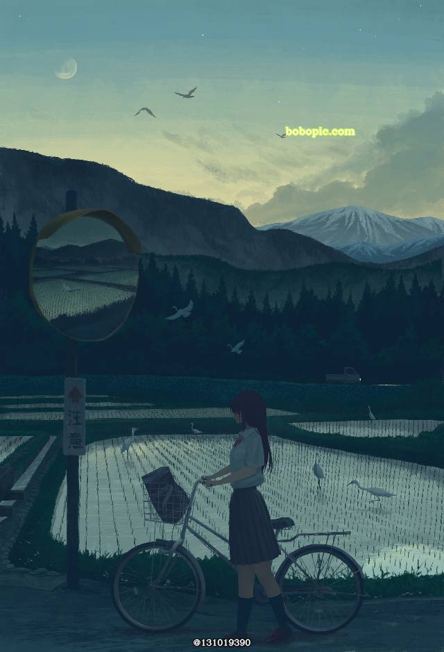 原创, paddy field, 黄昏