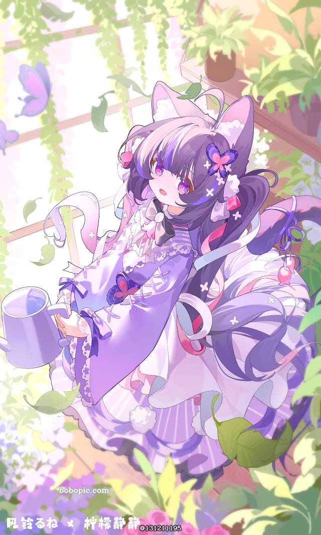 loli, young girl, illustration, cat ears