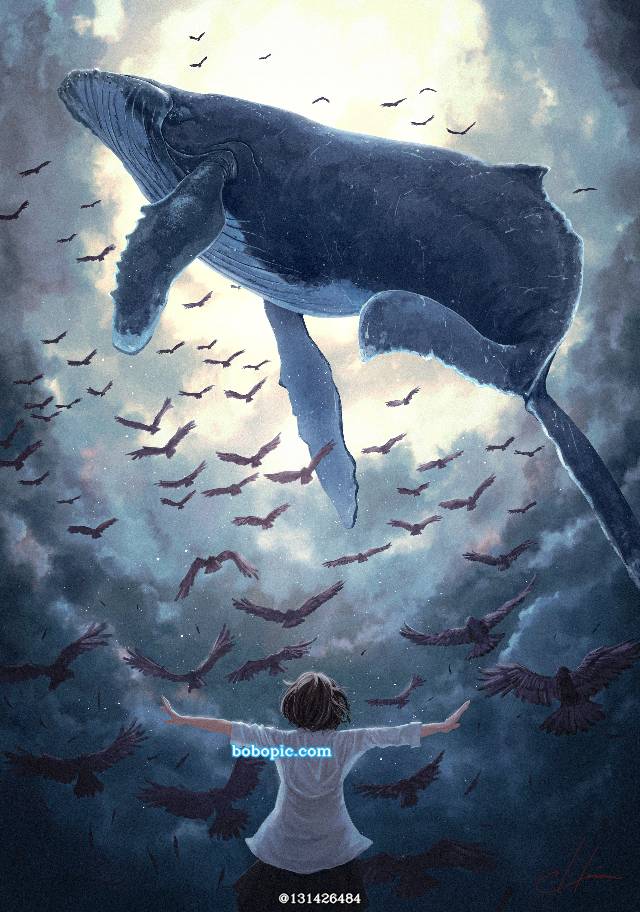 原创, whale