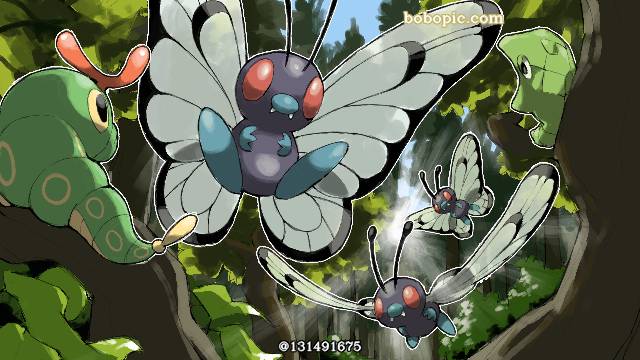 精灵宝可梦, Caterpie, Metapod, Butterfree