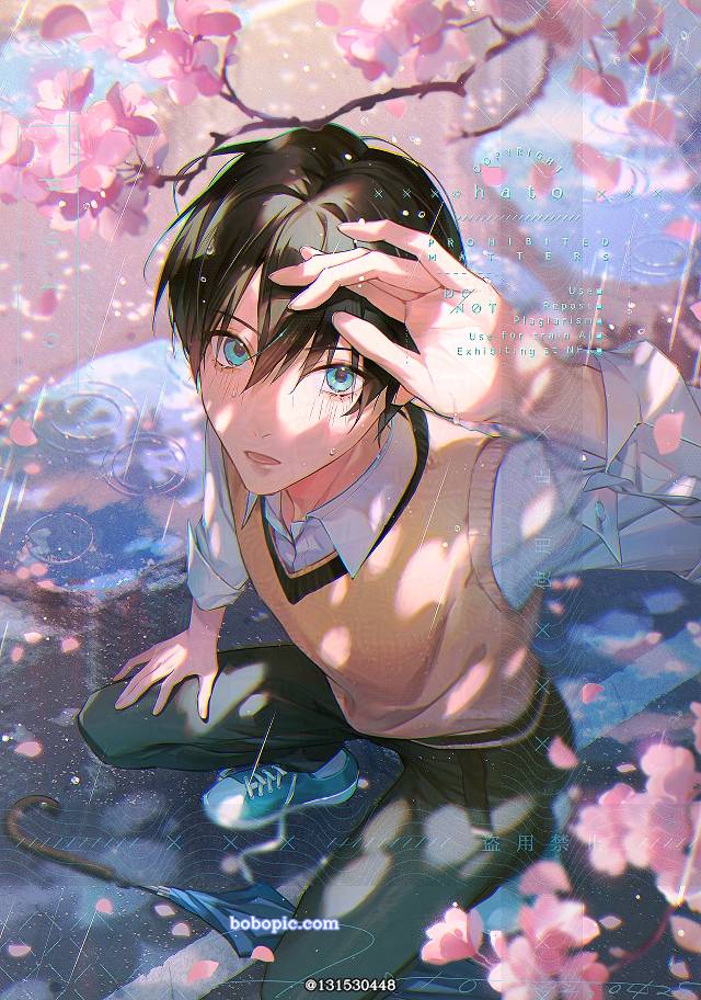 原创, 原创, guy, 樱, rain, sun shower, 仰视