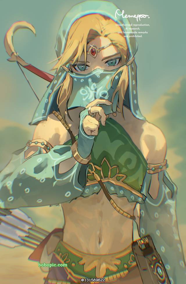 塞尔达传说, 旷野之息, Link (Breath of the Wild), Gerudo Link