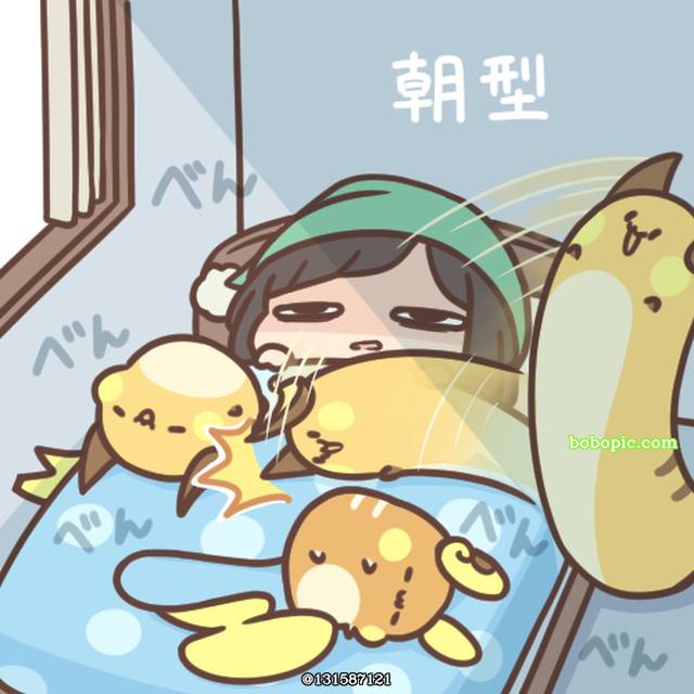 精灵宝可梦, 美月（训练家）, Cafe Raichu, incredibly cute