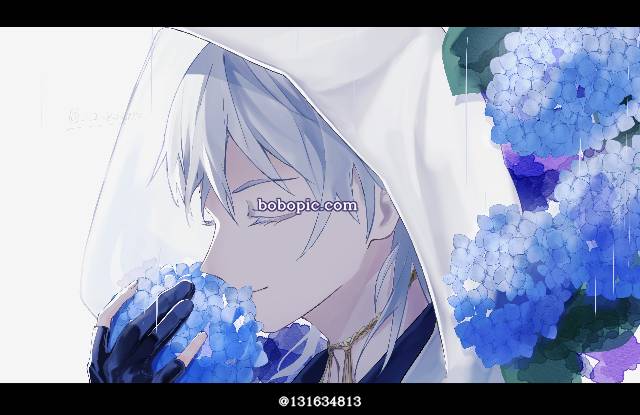 刀剑乱舞,梅雨,紫阳花,鹤丸国永图片