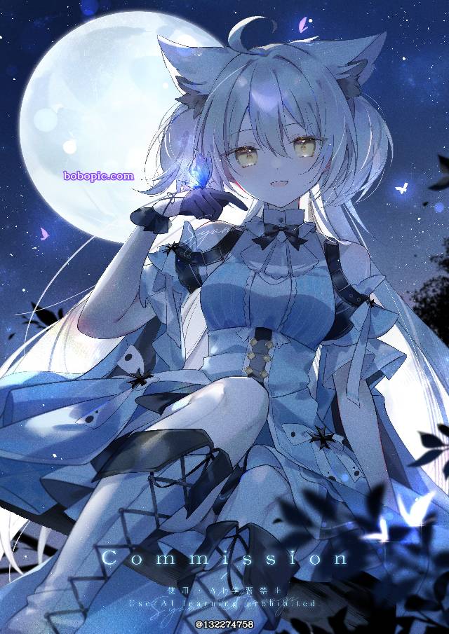 商业绘图, 蓝, night, 兽耳