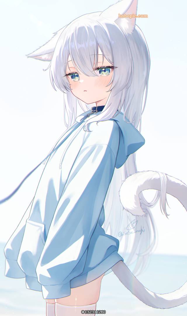 原创, 银发, cat ears, 尾巴, 过膝袜, 连帽衫, 项圈