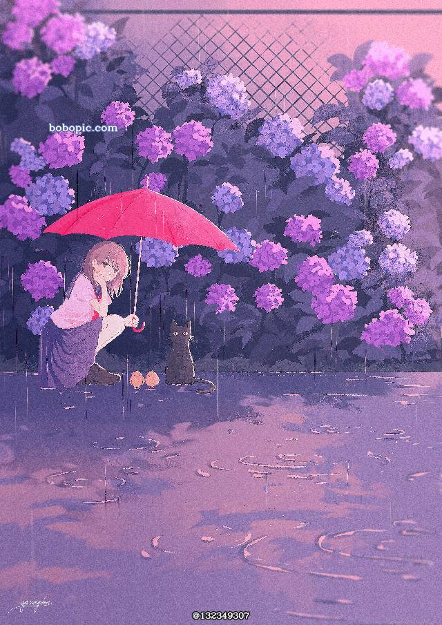 小女孩,梅雨,猫,紫阳花图片