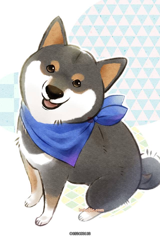 狗, 动物, shiba inu