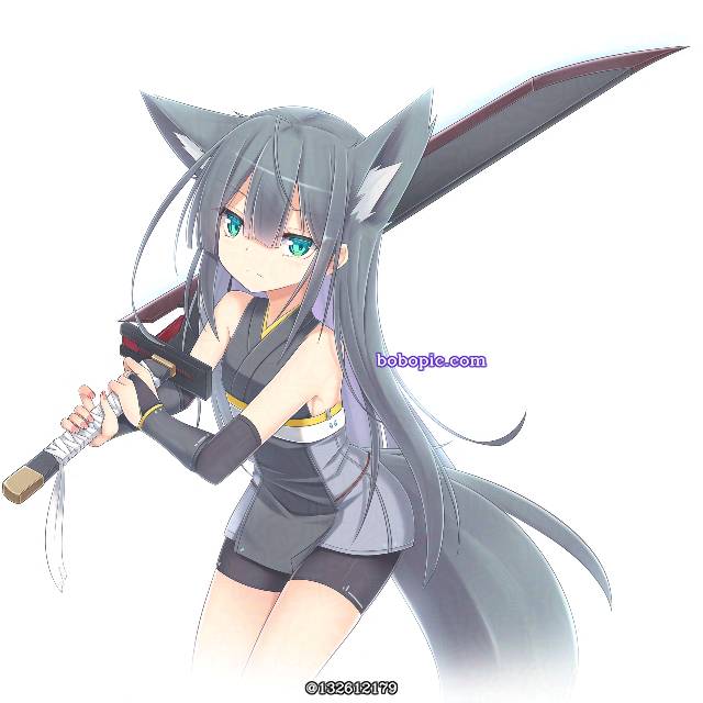 兽耳, fox ears, armed girls, 兽耳, 尾巴