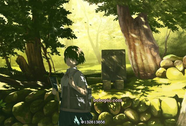 原创, sunlight through trees