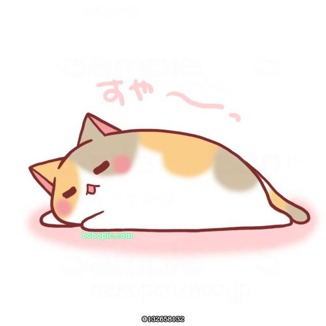 猫, 猫是液体