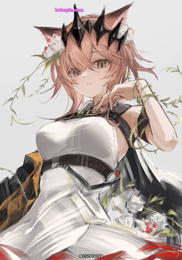 明日方舟, Arknights, 刺玫（明日方舟）, 兽耳