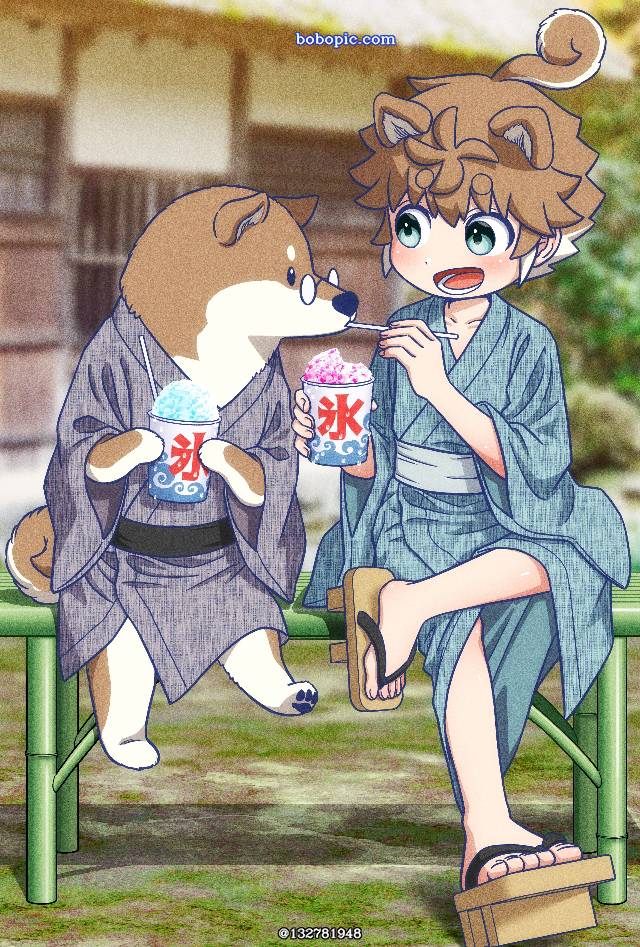 shiba inu, 正太, young boy, yukata, shaved ice