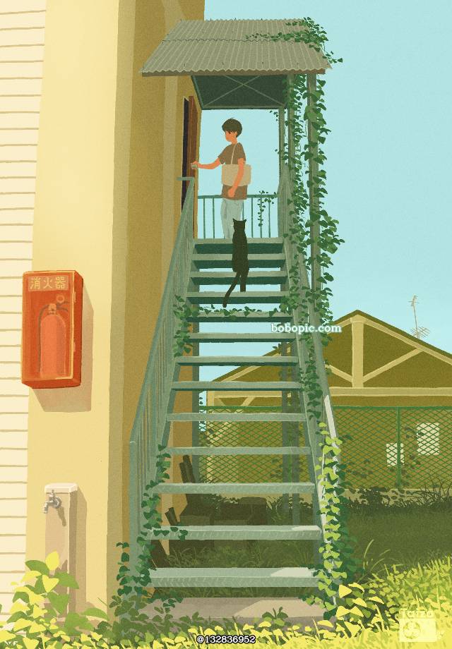 风景, 原创, sky, 猫, 猫与男孩