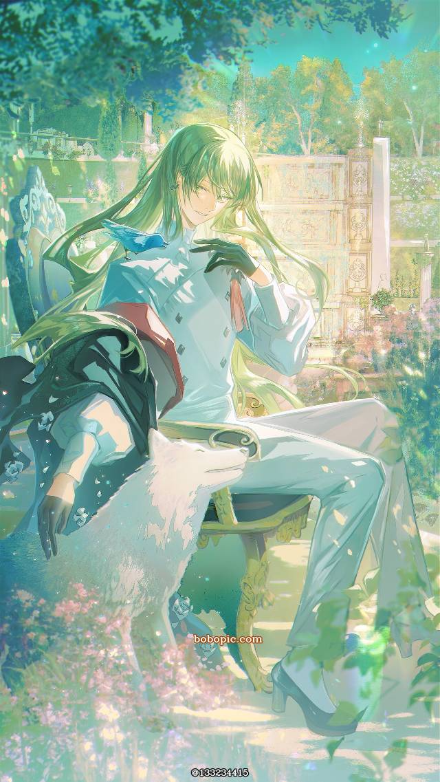 恩奇都, Enkidu (Fate), 长发