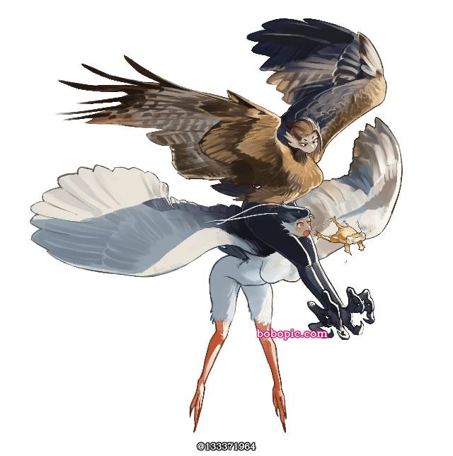 鸟人, monster girl, harpy