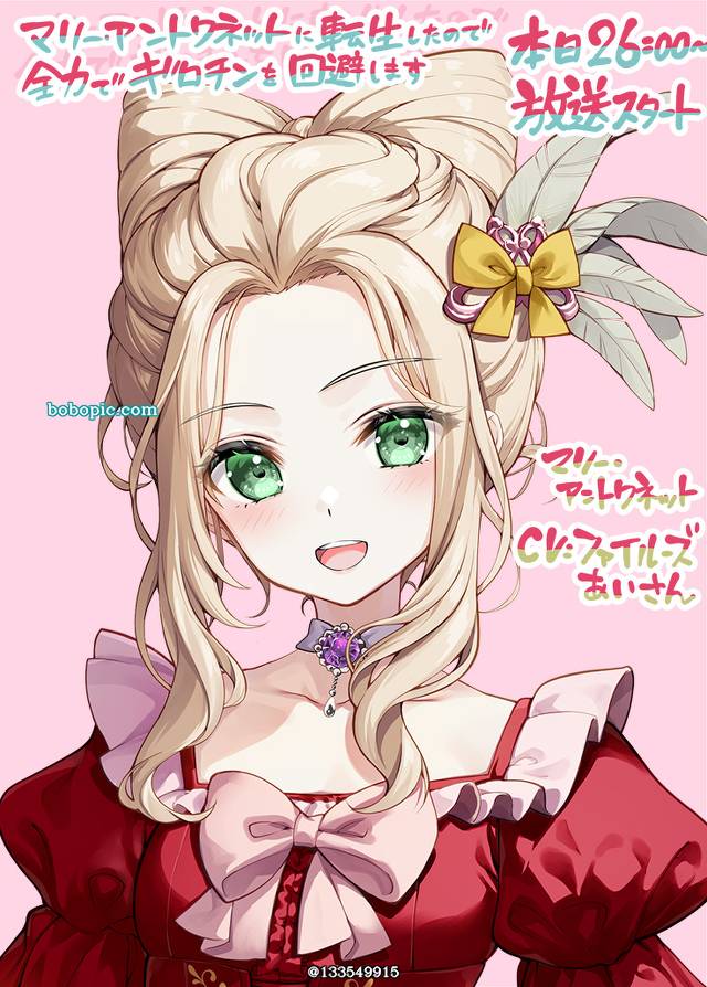 light novel, Marie Antoinette, 动画