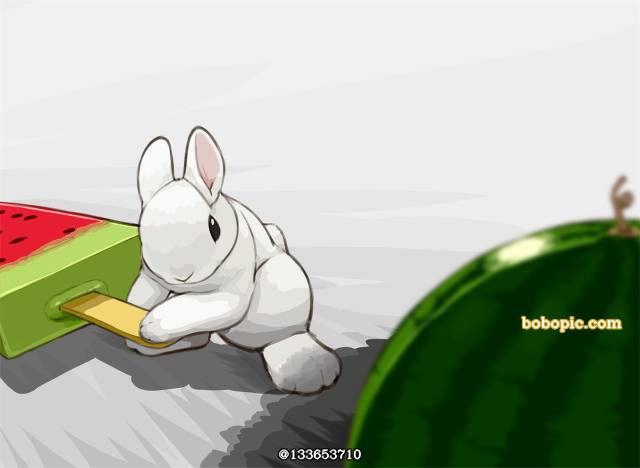 兔子, incredibly cute