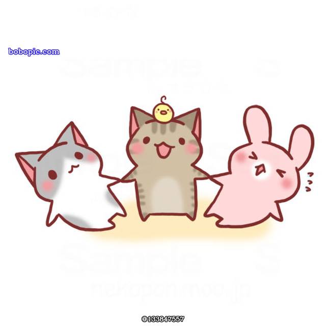 猫, 兔子