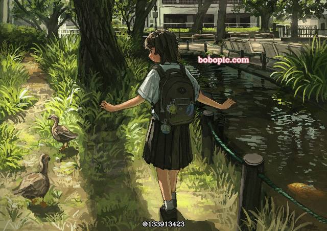 duck, 风景, background, 原创, 原创