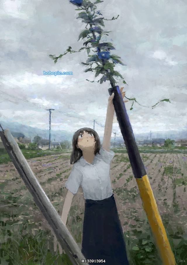 原创, 女孩子, 风景, background, paddy field, country, cloudy weather, 朝颜