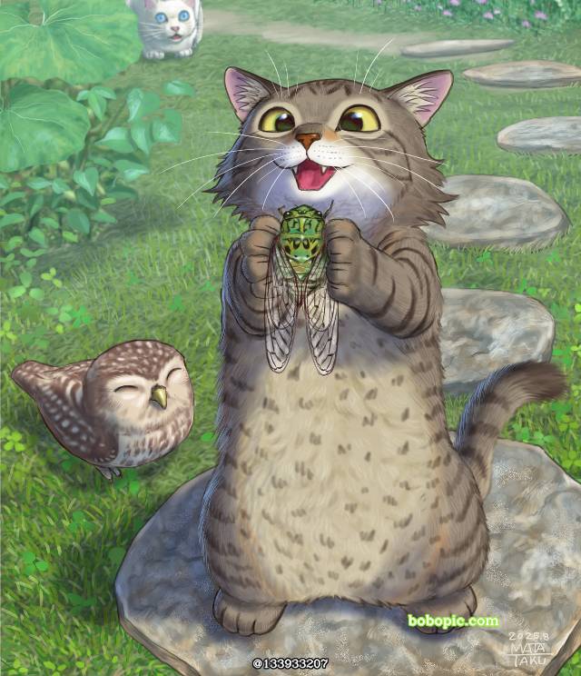 cat, owl, cicada