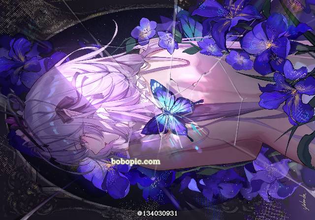 崩坏：星穹铁道, 遐蝶, 崩坏：星穹铁道1000收藏