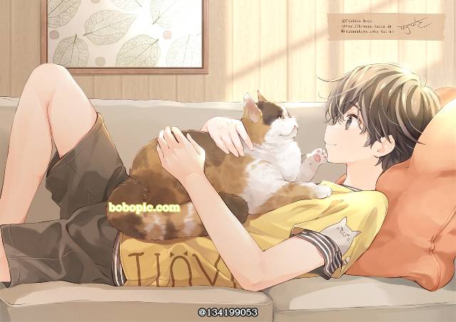 原创, 猫, 男孩子, 猫与男孩