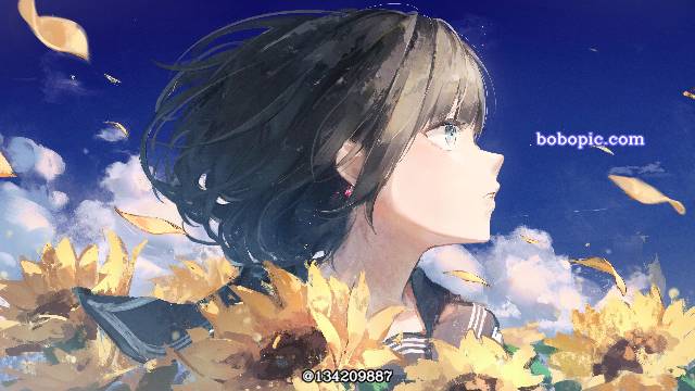 原创, 向日葵