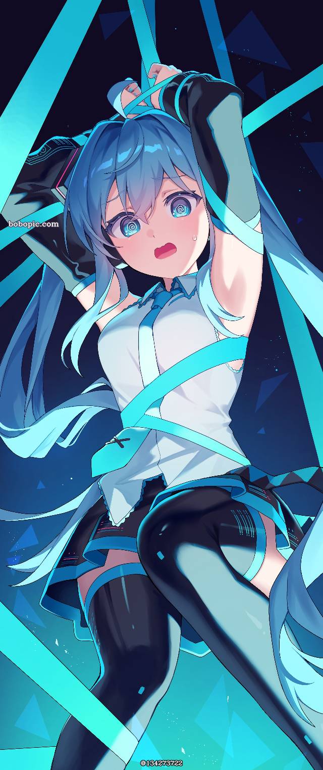 初音未来, 腋下