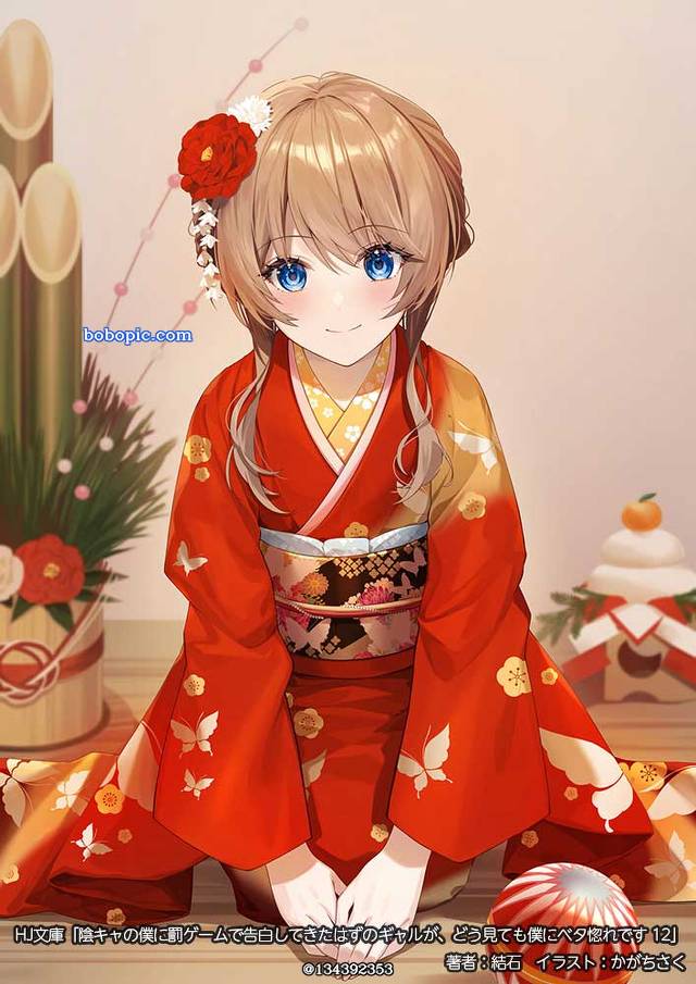 商业绘图, 轻小说
