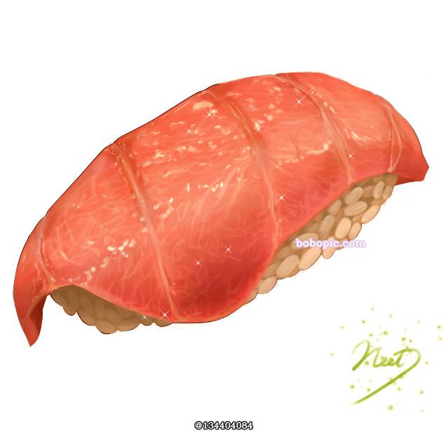 pixiv食堂,大トロ,寿司,食物,食物挑逗照图片