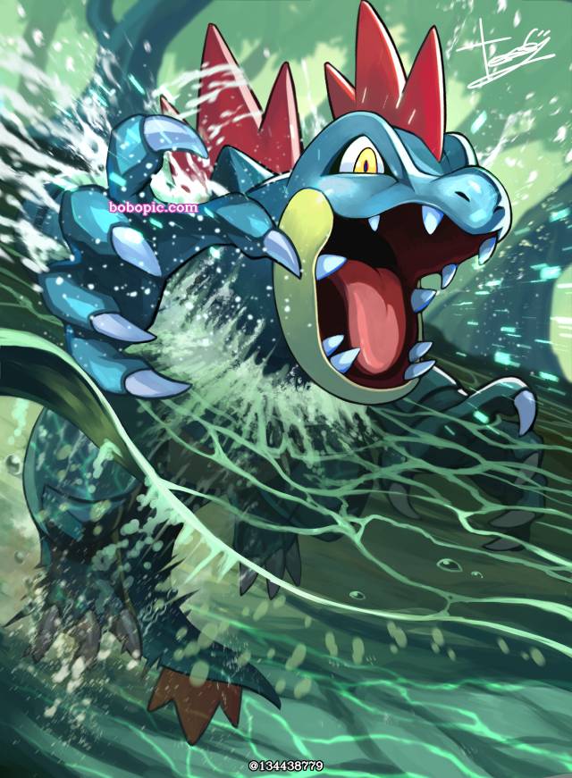 精灵宝可梦, Feraligatr