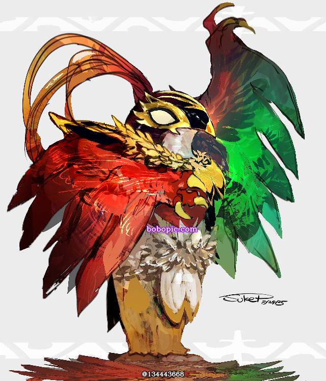 Hawlucha, 精灵宝可梦, 口袋妖怪, Mega Evolution