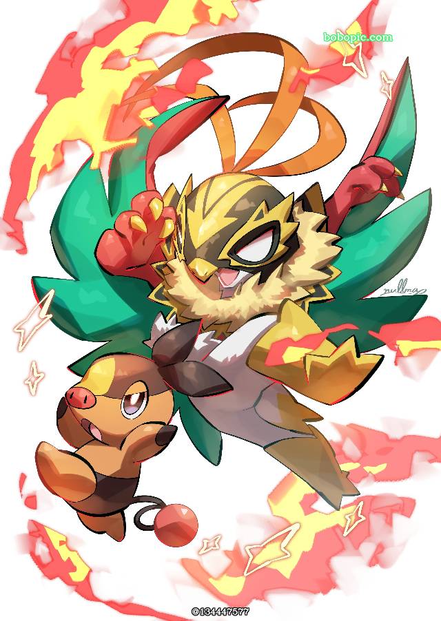 精灵宝可梦, Tepig