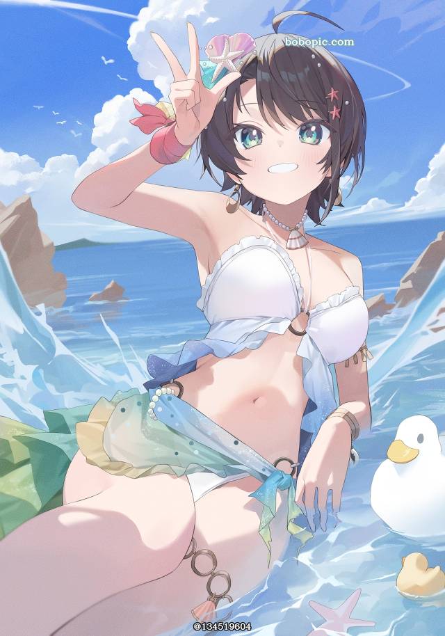 Hololive, Oozora Subaru, Protein The SUBARU, 虚拟主播, 泳装