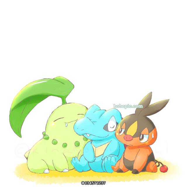 精灵宝可梦, 菊草叶, totodile, Tepig