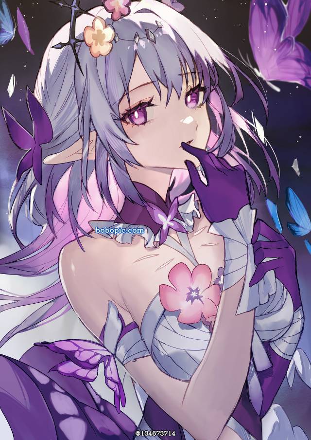 遐蝶, 女孩子, Honkai: Star Rail, 崩坏：星穹铁道, 崩坏：星穹铁道100收藏