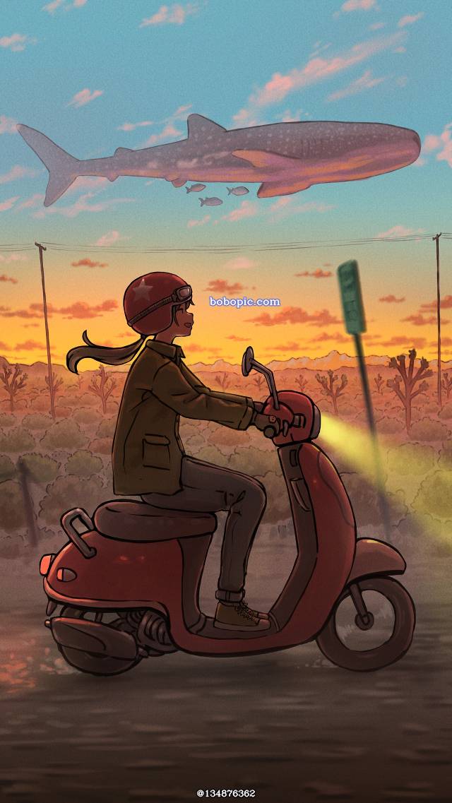 原创, 原创, background, 女孩子, 风景, sky, 黄昏, 自行车