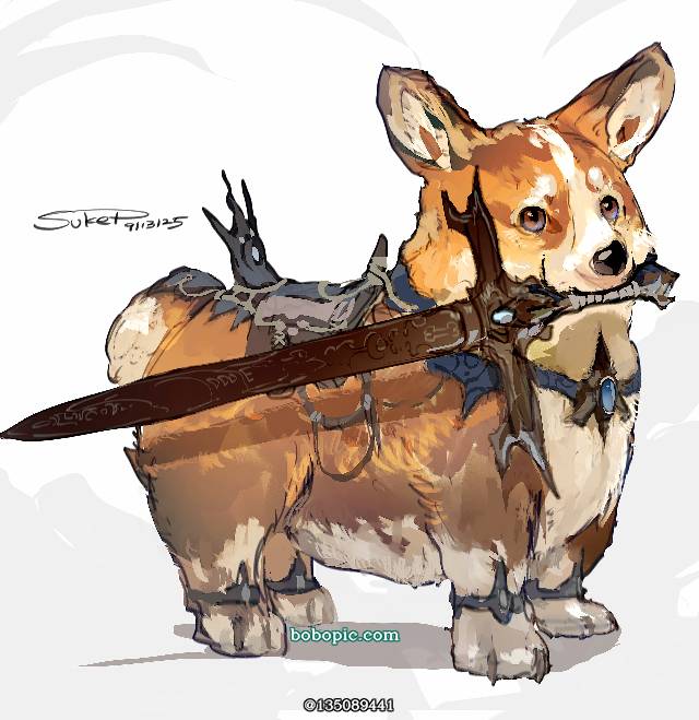 corgi, 狗, 厚涂