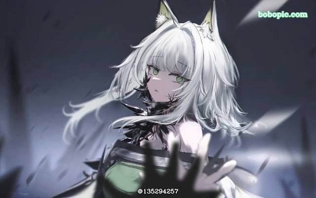 明日方舟, 凯尔希（明日方舟）