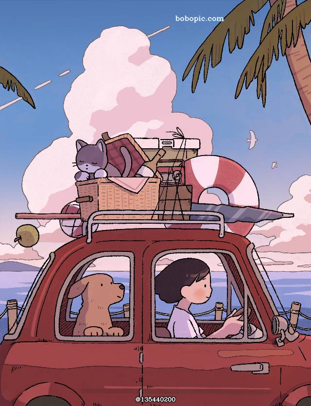 sea, 车, 黄昏, 夏天, 狗